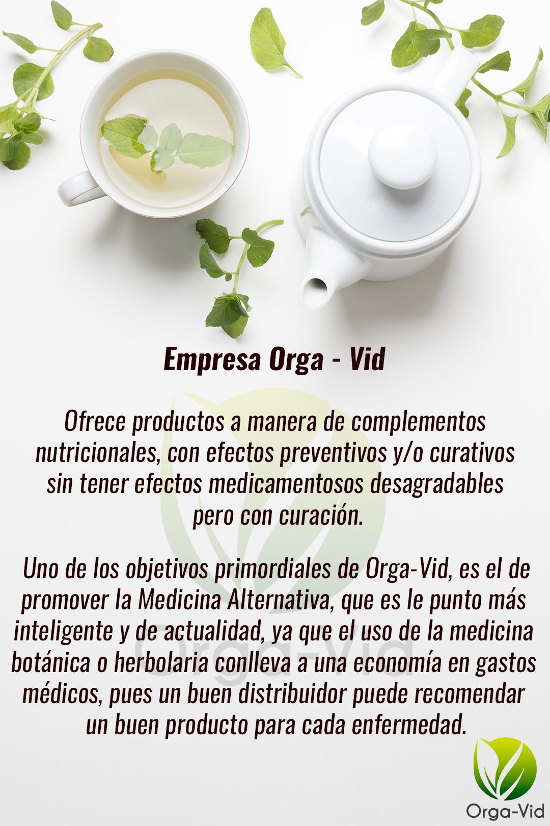 Presentación visual de ORGA-VID